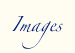 Browse our Picture Gallery
